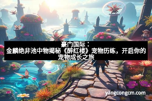 豪门国际：金麟绝非池中物揭秘《醉红楼》宠物历练，开启你的宠物成长之旅